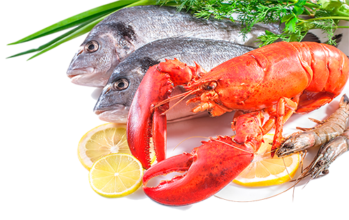 alimentos del mar (1)