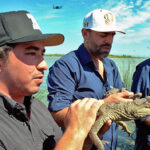 Es Sinaloa punta de lanza en liberación de especies a sus hábitats