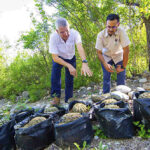 Brinda jardín botánico de la UANL educación ambiental a menores