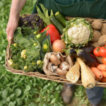 Se desploma saldo comercial agroalimentario
