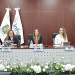 Desahoga INFONL 37 resoluciones y 16 acuerdos en sesión ordinaria