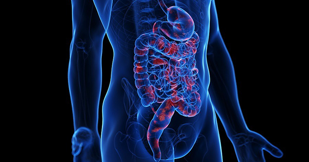 Crean alianza para cuidar salud gastrointestinal, hepática y hemostásica de los mexicanos