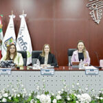 Aplica INFONL multa a presidenta municipal de Vallecillo