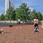 Anuncian nuevo “Pet Park” en Parque Fundidora