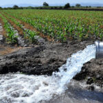 Nulas políticas públicas en usos del agua