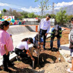 Reforestan en Durango y Nuevo León