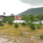 Apoyan en limpieza de escuelas