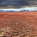 Expertos identifican escenario de policrisis: Future Risks Report 2024