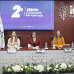Atiende INFONL 25 resoluciones durante la Segunda Sesión Ordinaria