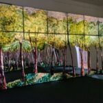 Concluye exposición «Mírame, te veré de vuelta» de Teresa Serrano