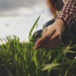 Demandan campesinos mejorar presupuesto al campo en el PEF 2026