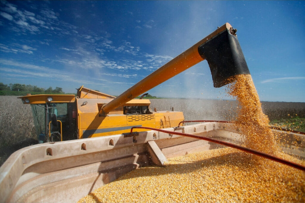 Necesario fortalecer programas de apoyo a la productividad del campo