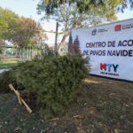 Instala Monterrey Centros de acopio de pinos navideños naturales