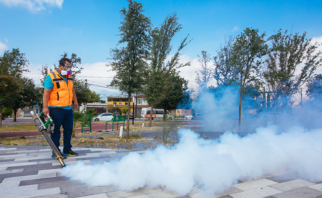 Registra Guadalupe cero casos de dengue