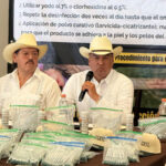 Liberan movilización de ganado en municipios reclasificados por Gusano Barrenador