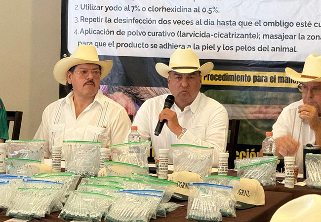 Liberan movilización de ganado en municipios reclasificados por Gusano Barrenador