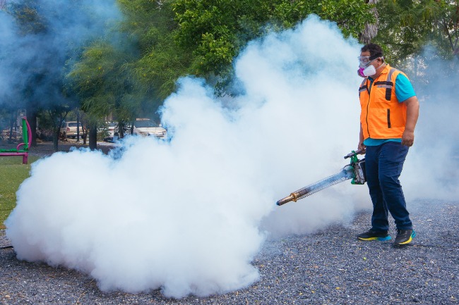 Refuerza Guadalupe prevención contra el dengue