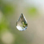 Cuidado del agua, pequeños cambios generan grandes resultados