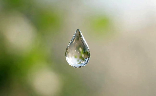 Cuidado del agua, pequeños cambios generan grandes resultados