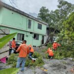 Refuerza Guadalupe labores de desazolve y retiro de árboles