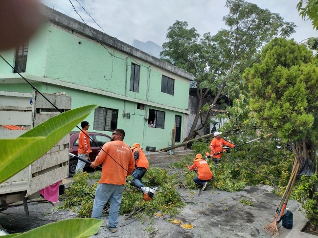 Refuerza Guadalupe labores de desazolve y retiro de árboles