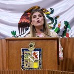 Piden concientizar para una convivencia responsable con el oso americano